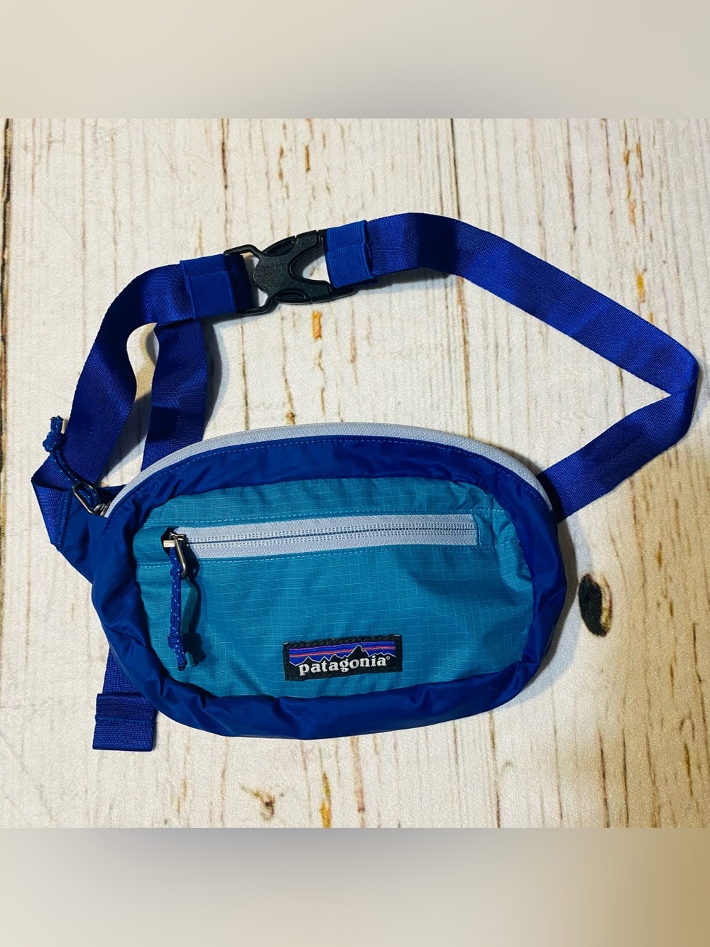 Patagonia Ultralight Black Hole Mini Hip Fanny Pack Teal & Blue Bum Bag Nylon